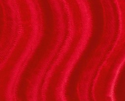 Velboa stof effen rood.  Deze velours stof is naar 2 kanten geschoren in een golf.  100% PL  Breed: 147 cm  235 gram/m2