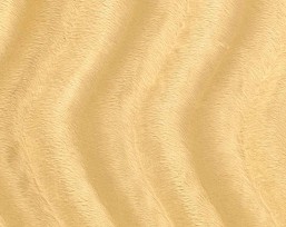 Velboa stof effen camel  Deze velours stof is naar 2 kanten geschoren in een golf.  100% PL  Breed: 147 cm  235 gram/m2